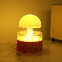 Cloud Rain Ultrasonic Humidifier