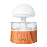 Cloud Rain Ultrasonic Humidifier